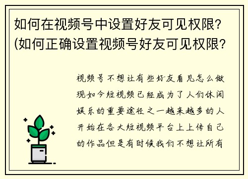 如何在视频号中设置好友可见权限？(如何正确设置视频号好友可见权限？——深入解读视频号设置技巧)